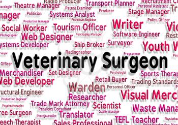 Veterinary Surgeon Showing Expert Words And Career