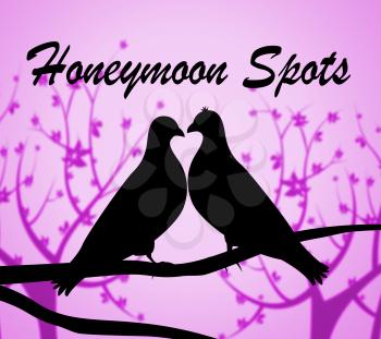 Honeymoon Spots Representing Destinations Holidays And Vacation
