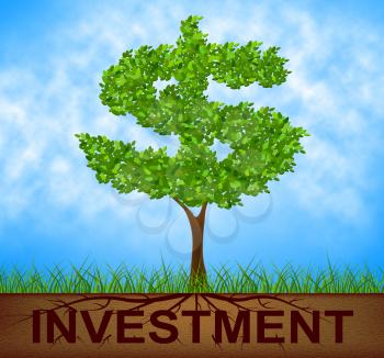 Investment Tree Showing Growth Stock And Opportunity