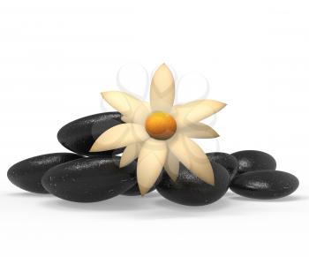Spa Stones Meaning Florist Natural And Healthy