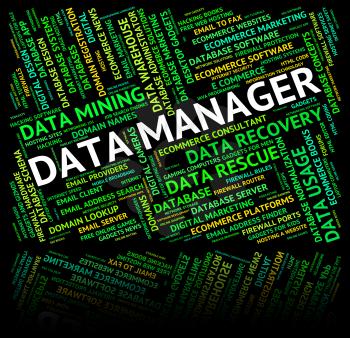 Data Manager Representing Fact Text And Administrator