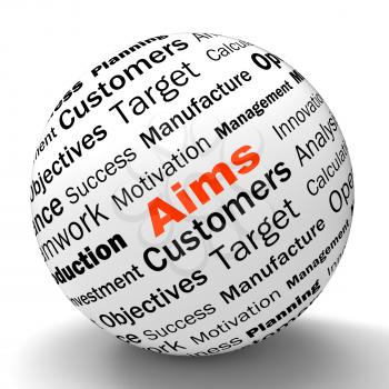 Aims Sphere Definition Meaning Business Goals targets And Objectives