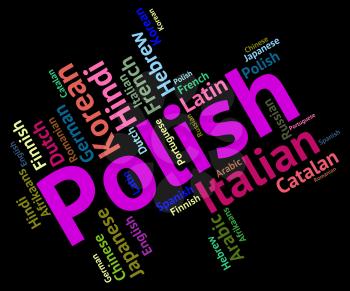 Polish Language Representing Vocabulary Languages And International
