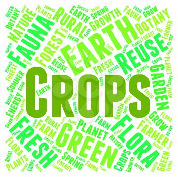 Crops Word Representing Words Harvests And Plant