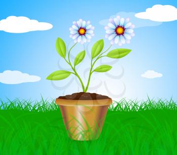 Potted Plant Meaning Cultivation Gardening And Plants