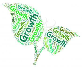 Growth Words Meaning Sow Sows And Cultivate