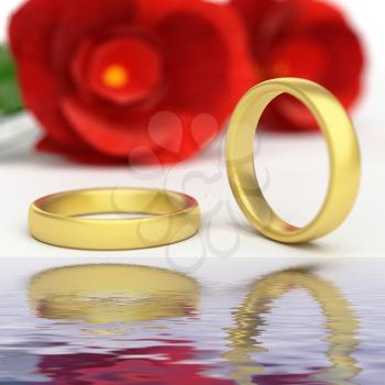 Wedding Rings Indicating Marriage Gold And Relationship