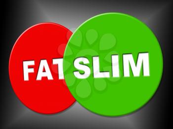 Slim Sign Showing Lose Weight And Slimming