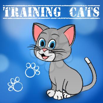 Training Cats Indicating Pets Trained And Felines