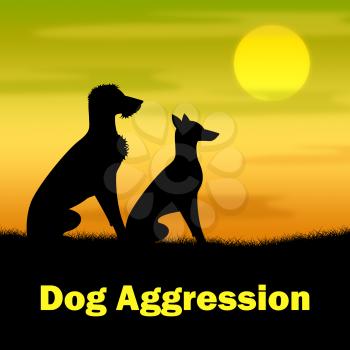 Dog Aggression Showing Angry Canine And Hostility