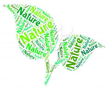 Nature Word Representing Countryside Natural And Scenic