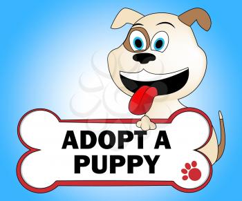 Adopt Puppy Meaning Puppies Pedigree And Looking After