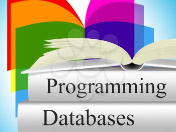 Databases Programming Indicating Software Development And Byte