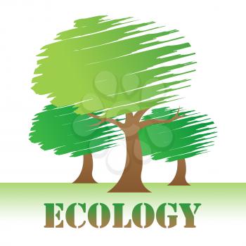 Ecology Trees Indicating Earth Friendly And Branches