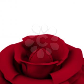 Rose With White Copyspace Background Showing Love Valentines And Romances