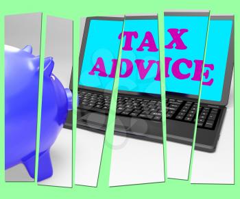 Tax Advice Piggy Bank Showing Professional Advising On  Taxation