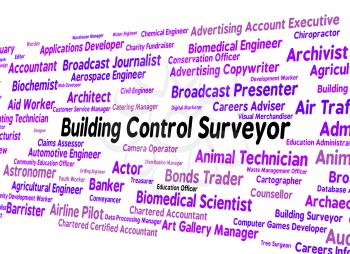Building Control Surveyor Showing Surveys Surveyors And Interface