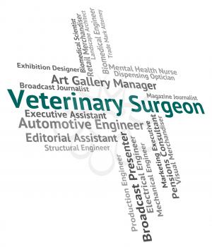 Veterinary Surgeon Meaning General Practitioner And Text