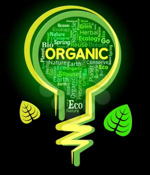 Organic Lightbulb Indicating Healthful Nature And Environment