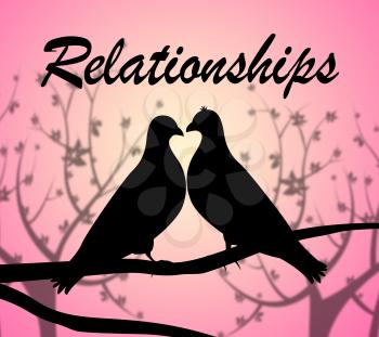 Relationships Doves Meaning Find Love And Dating