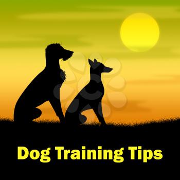 Dog Training Tips Representing Skills Dogs And Ideas