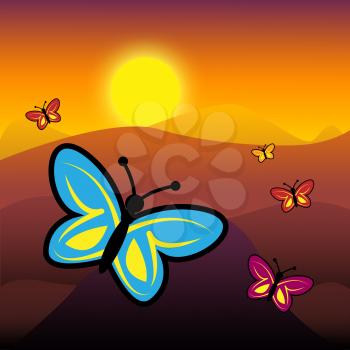 Butterflies At Nighttime Showing Moon Flying And Butterfly
