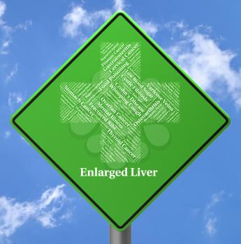 Enlarged Liver Showing Ill Health And Grow