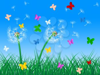 Sky Dandelion Showing Flower Animal And Floral