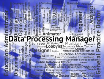 Data Processing Manager Indicating Principal Management And Career