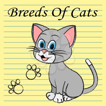 Breeds Of Cats Representing Mating Offspring And Reproduce