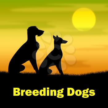 Breeding Dogs Indicating Bred Breeds And Reproducing