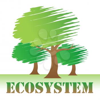 Ecosystem Trees Representing Treetops Woods And Ecology