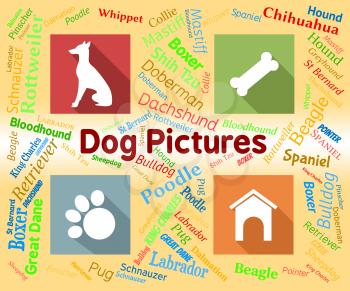 Dog Pictures Indicating Words Pets And Photo