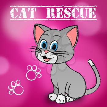 Cat Rescue Showing Save Recovering And Felines