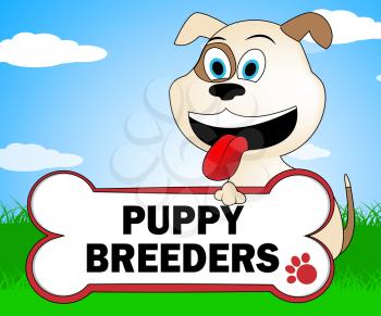 Puppy Breeders Indicating Pups Dogs And Canines
