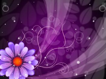 Flower Background Showing Petals Blooming And Beauty
