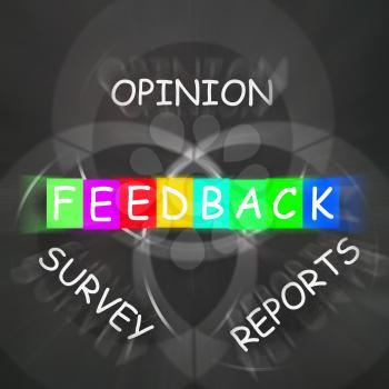 Feedback Displaying Reports and Surveys of Opinions
