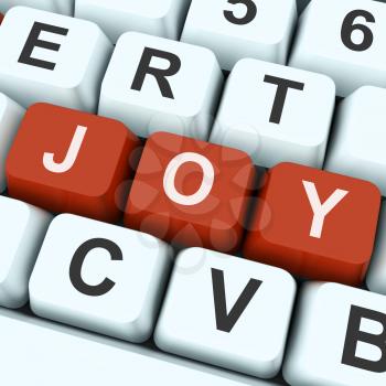 Joy Key Meaning Enjoy Fun Or Happy
