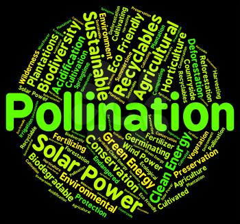 Pollination Word Indicating Breeds Text And Pollinates