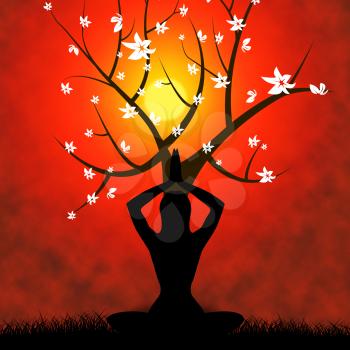 Yoga Pose Meaning Calm Trees And Nature