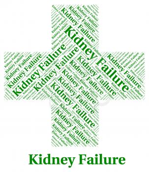 Kidney Failure Indicating Lack Of Success And Ill Health