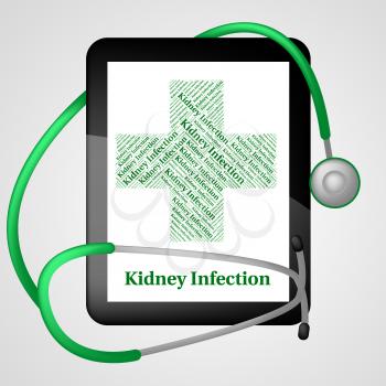 Kidney Infection Representing Ill Health And Indisposition