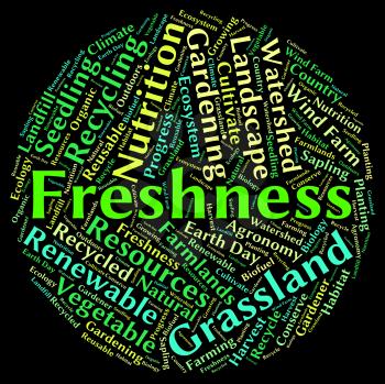 Freshness Word Representing New Unprocessed And Words