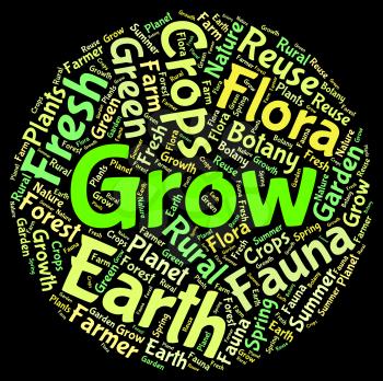 Grow Word Meaning Farming Cultivate And Sowing