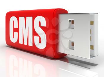 CMS Pen drive Meaning Content Management System And Optimization