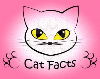 Cat Facts Representing Truth Info And Feline