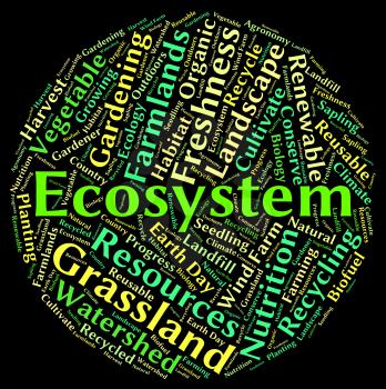 Ecosystem word showing eco biosystem and ecology