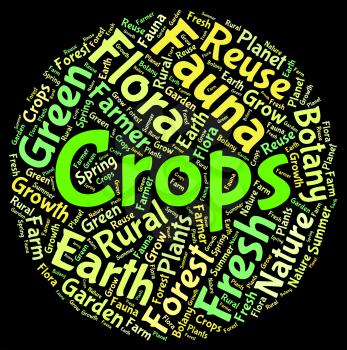Crops Word Representing Produce Plants And Yields