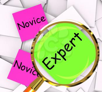 Novice Expert Post-It Papers Meaning Amateur Or Skilled