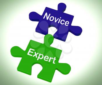 Novice Expert Puzzle Showing Unskilled And Professional